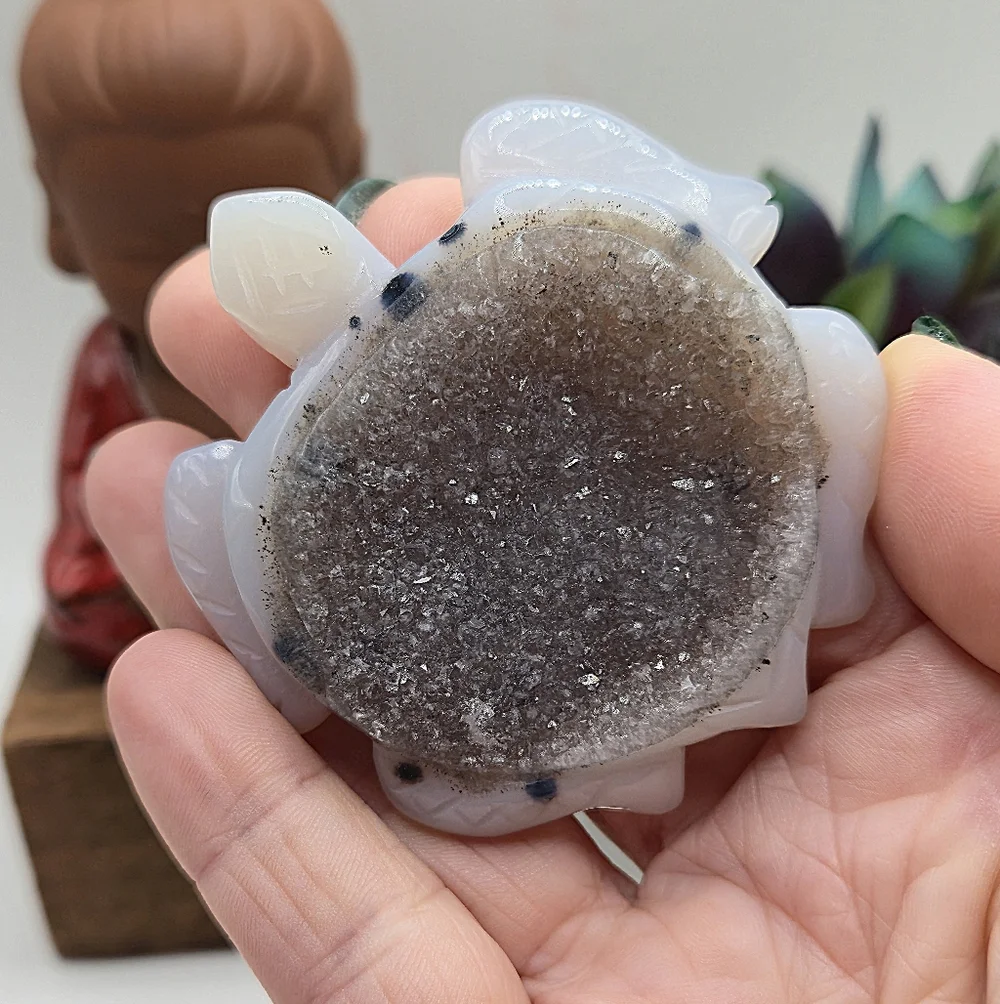 Druzy Agate Turtle Crystal Carving